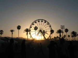Coachella Festival