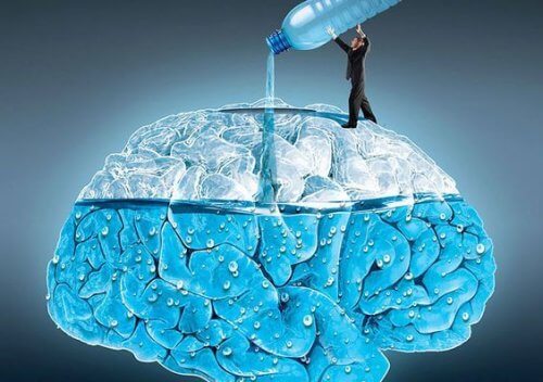 Drink water brain