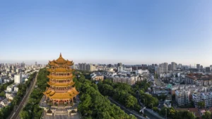 هل تتم التضحية بمدينة ووهان لمصلحة الصين الكبرى؟