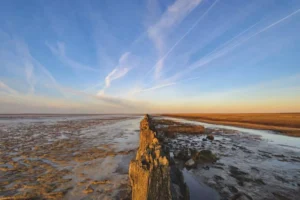 حضارات ومدن مفقودة… 9 أسرار في قاع المحيطات والبحار